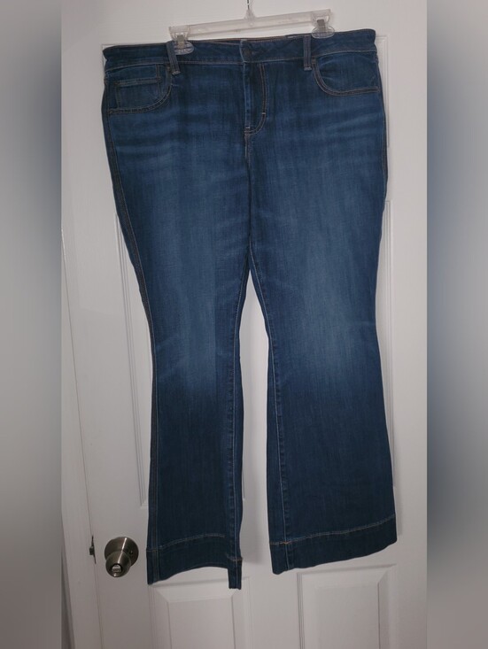 American Eagle Outfitters Denim - American Eagle Outfitters Dark Blue Flare Jeans
